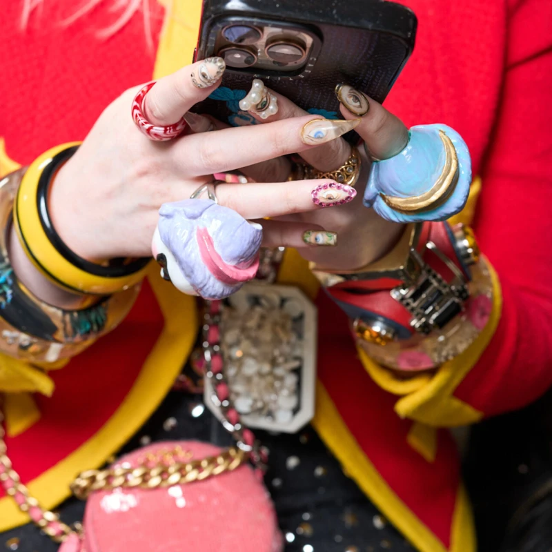 Možete li u samo 8 sekundi pronaći patku na slici?