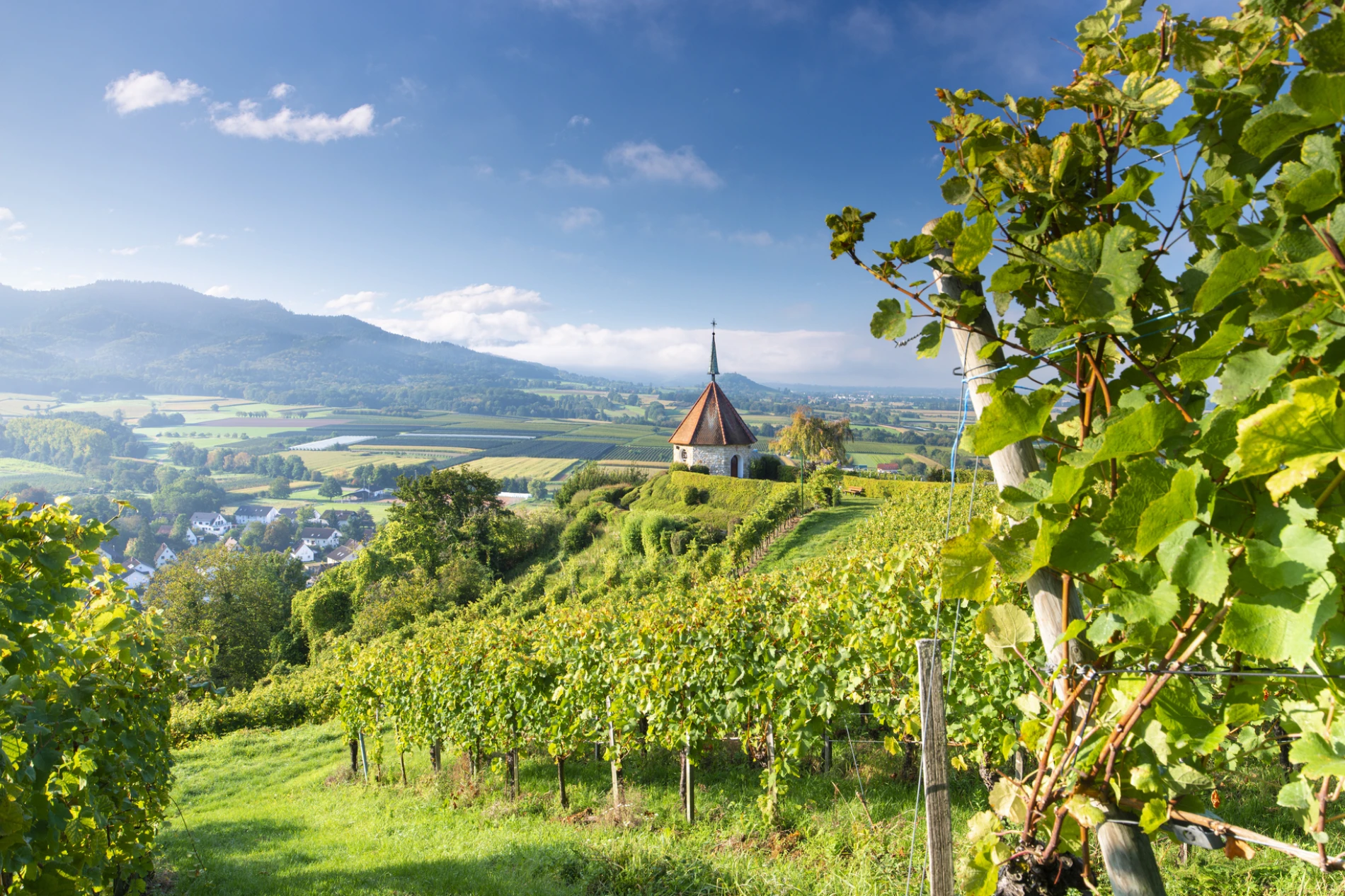 Ehrenstetten, Schwarzwald, Baden-Württemberg