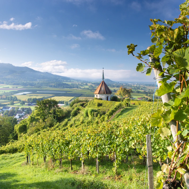 Ehrenstetten, Schwarzwald, Baden-Württemberg