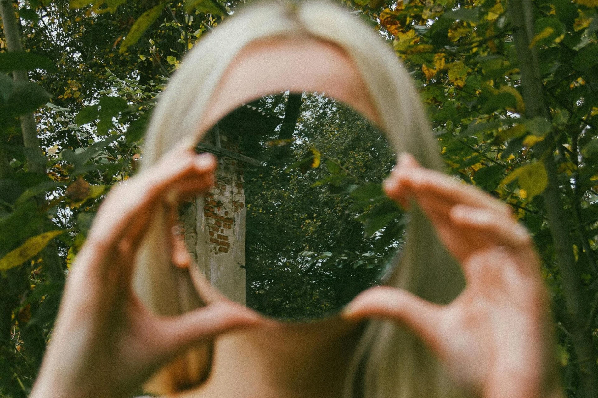 pexels 