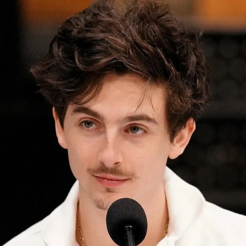 timothee chalamet