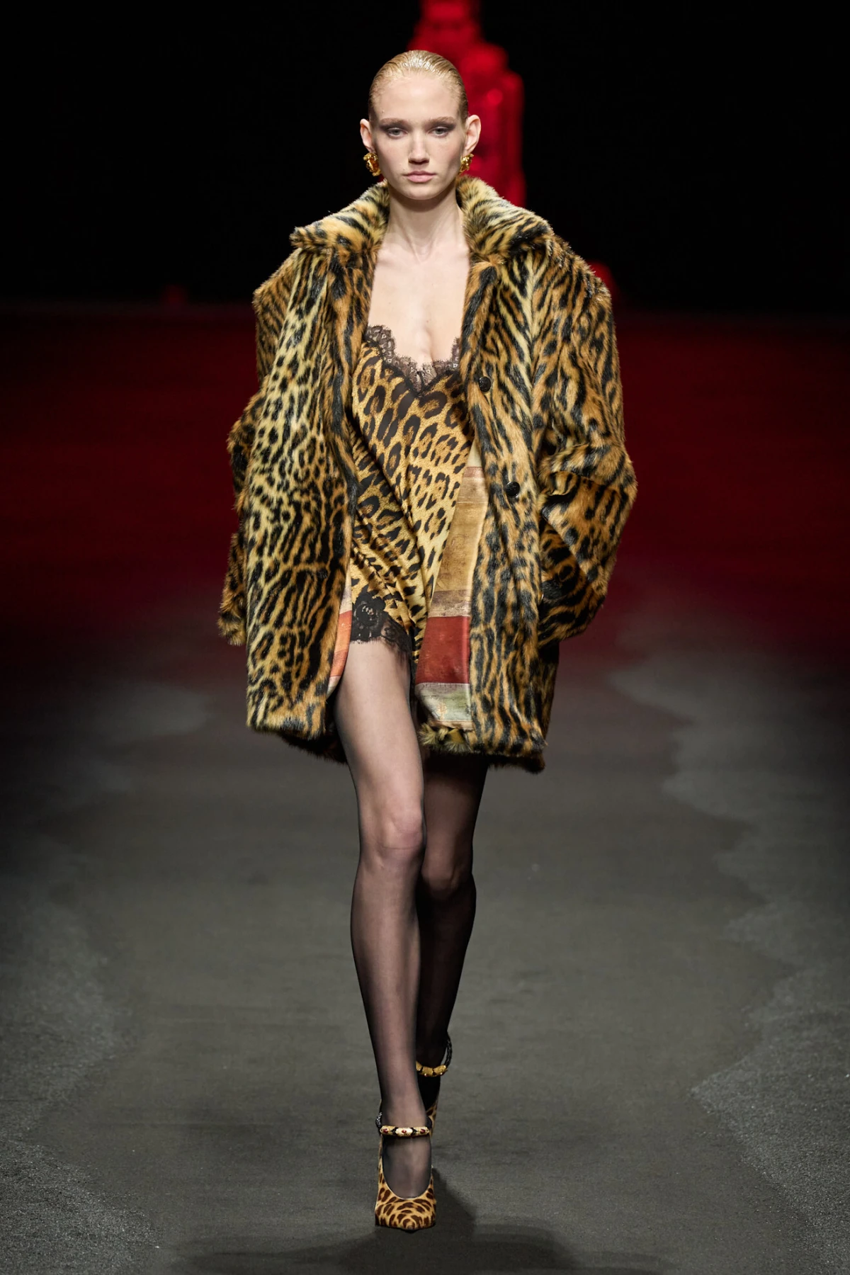 roberto cavalli fw25