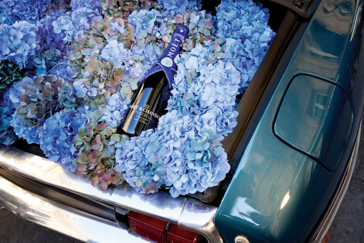 Moet & Chandon x Pharrell Williams