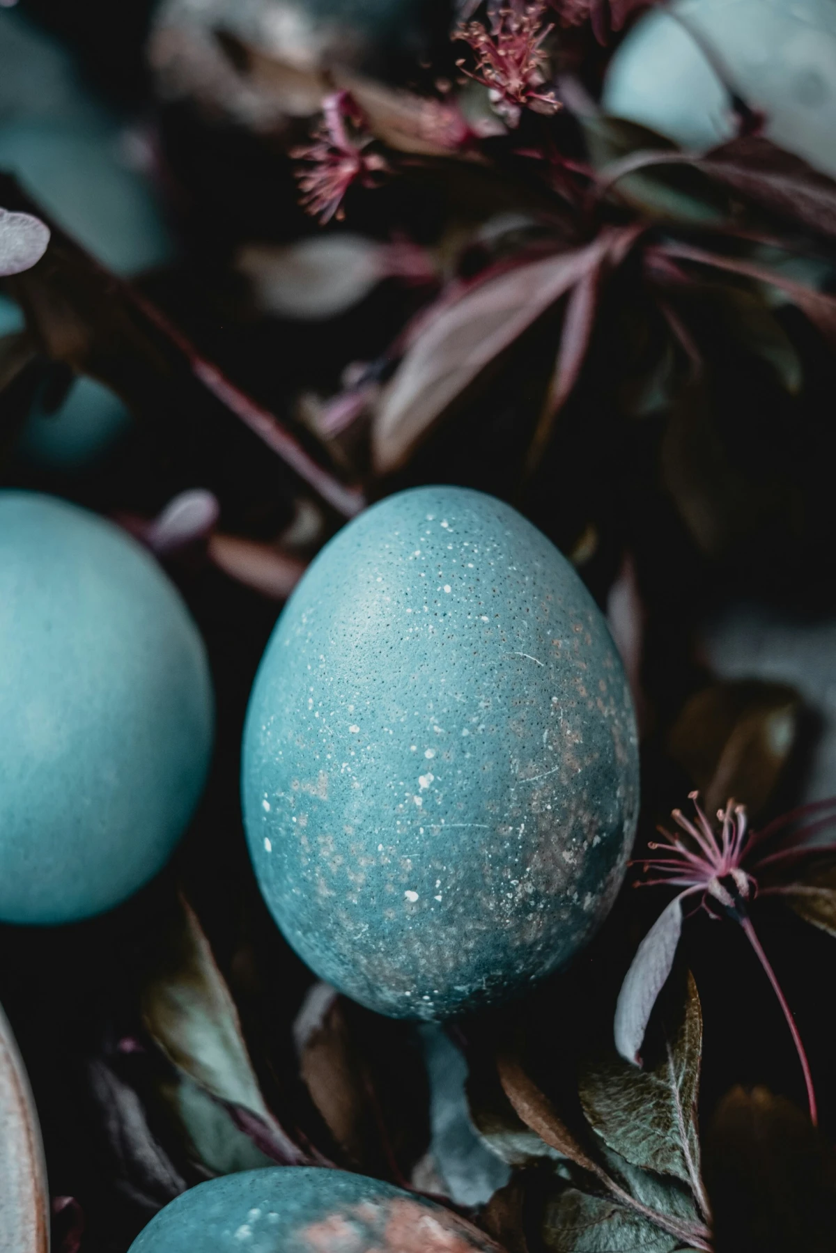Unsplash