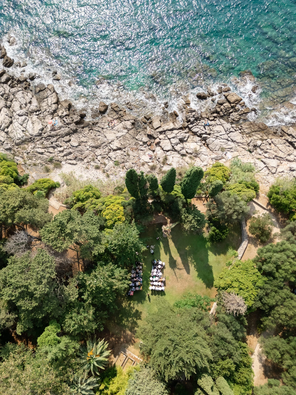 Marija Laća Weddings