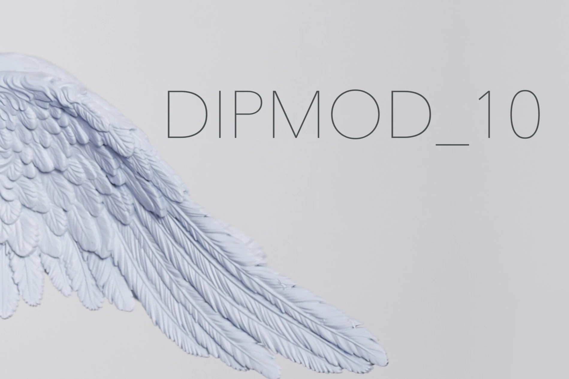 DIPMOD10