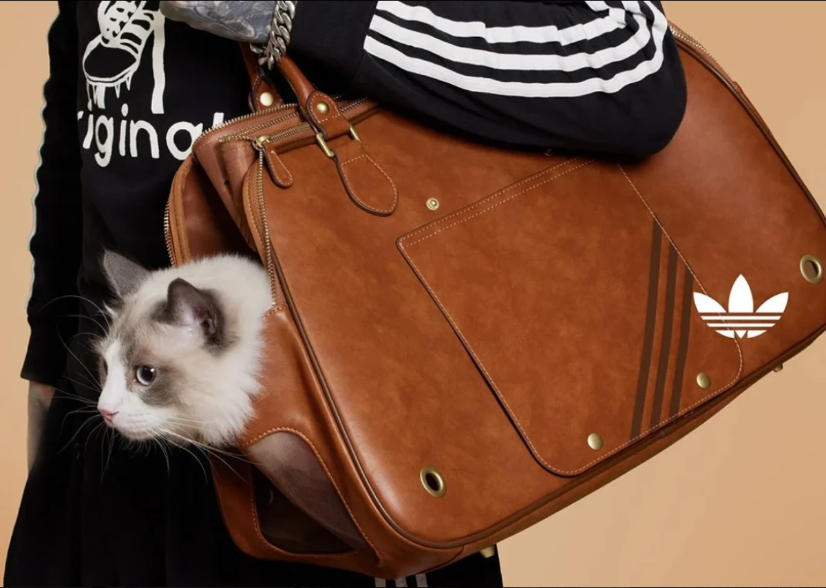 Adidas pets