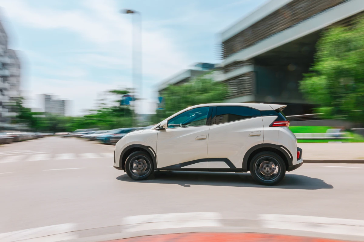 byd dolphin surf
