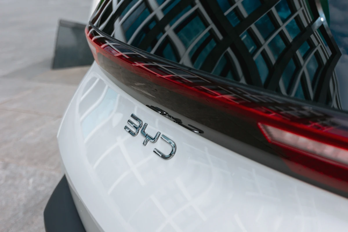 byd dolphin surf