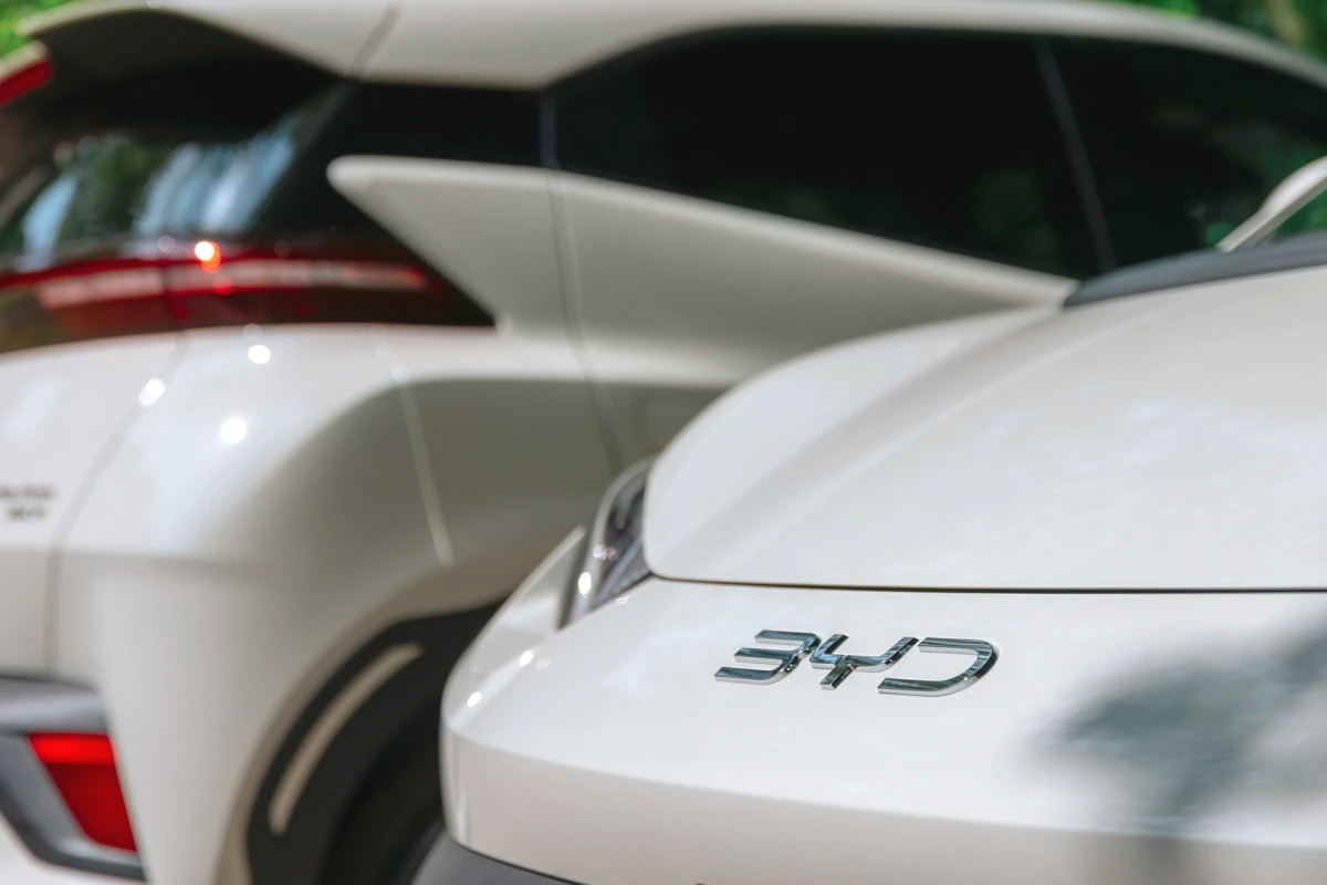 byd dolphin surf