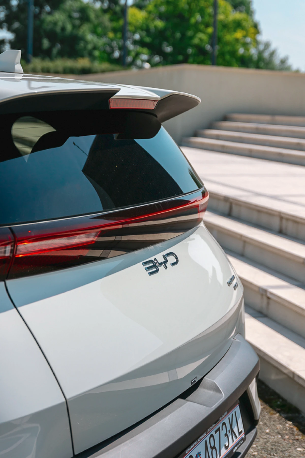 byd dolphin surf
