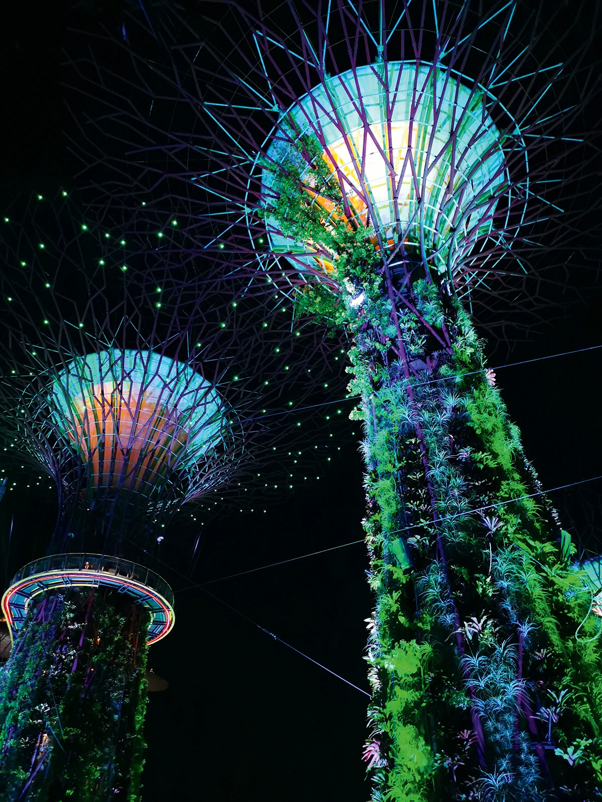 Singapur