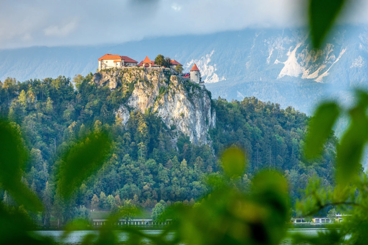 Bled