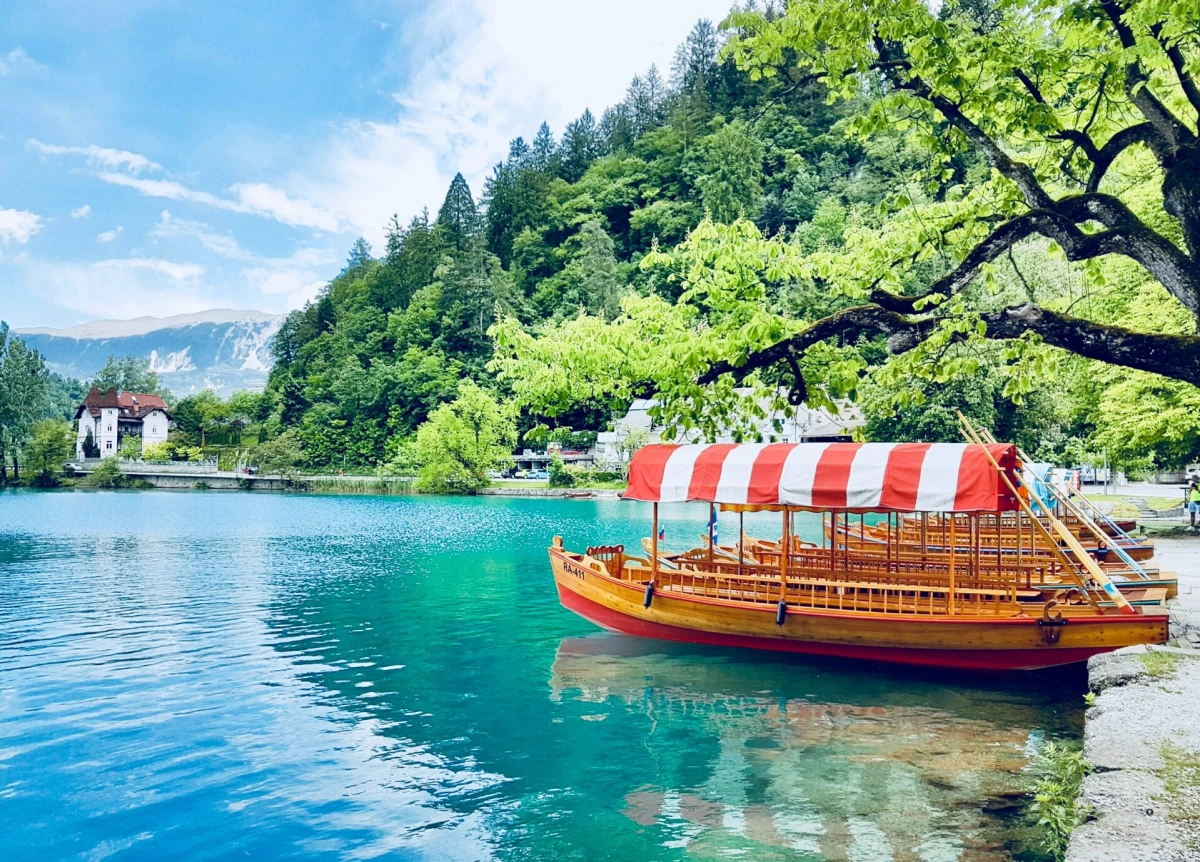 Bled