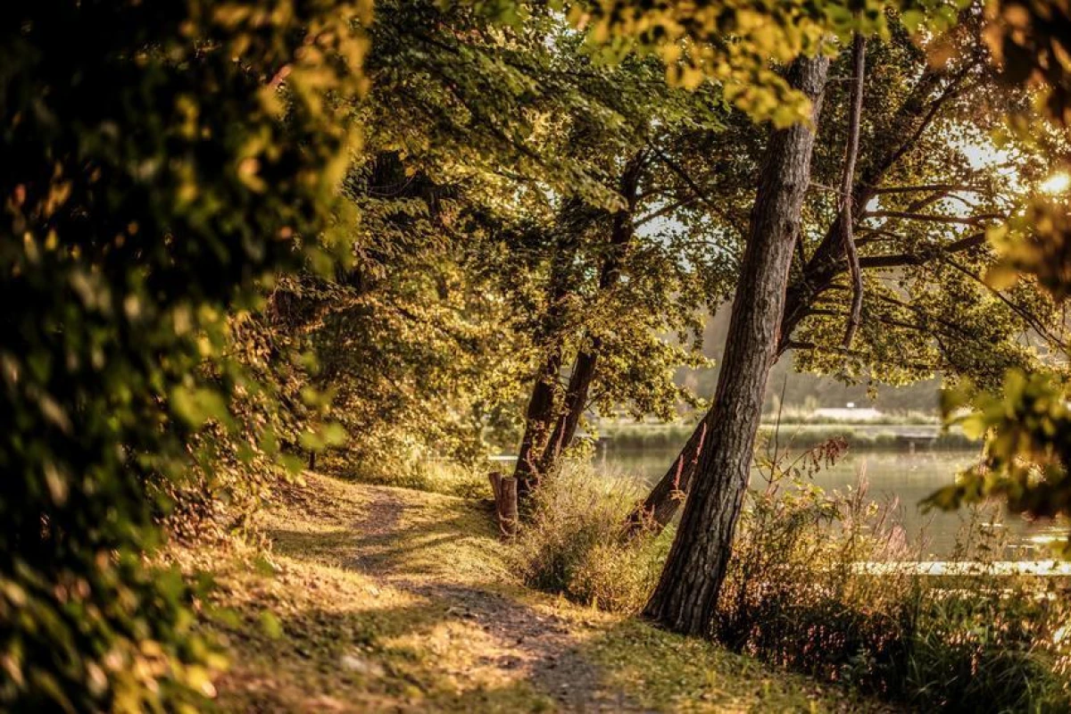 Falkensteiner Premium Camping Lage Blagus