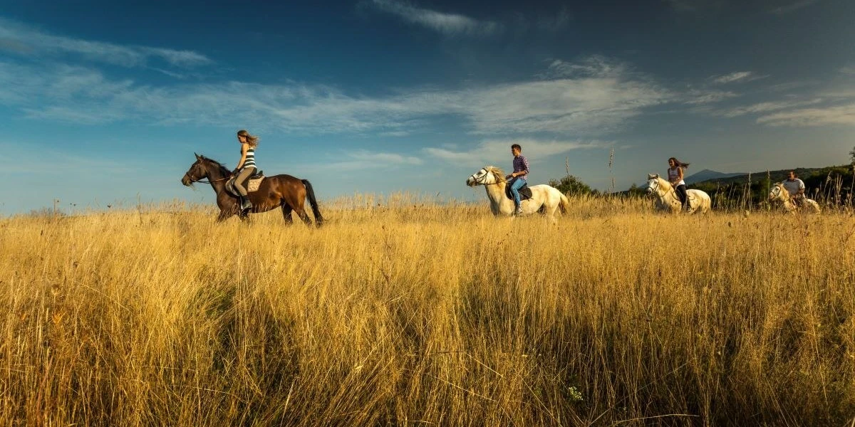ranch terra