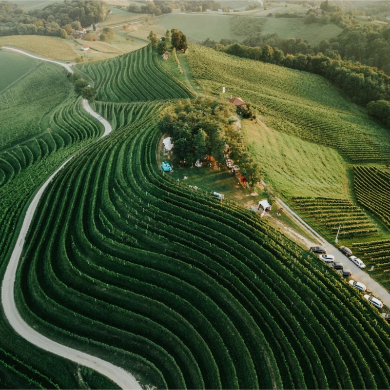 Što nas očekuje na petom izdanju festivala Jazz u vinogradu?