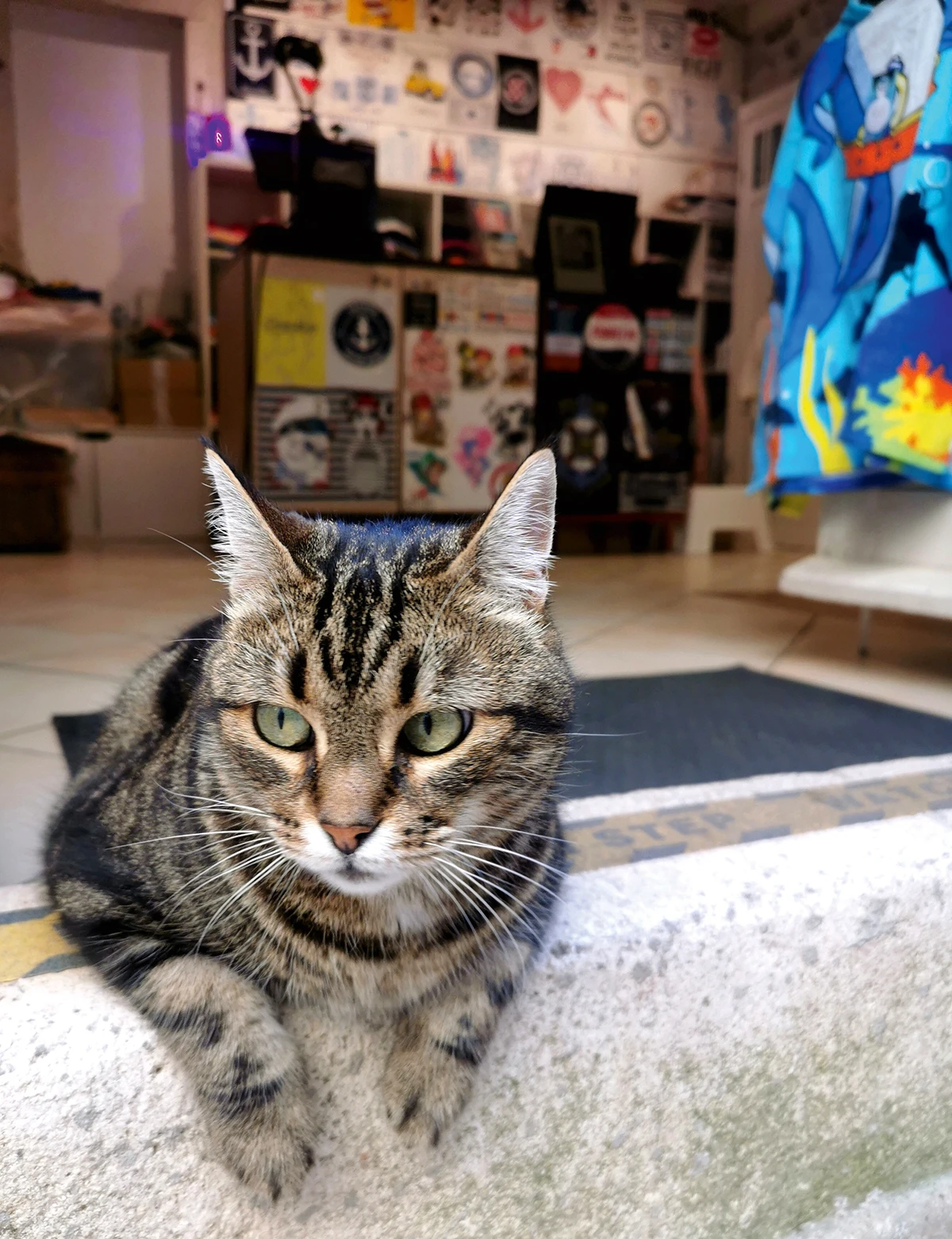 Krstarenje Jadranom: Ljetni odmor za dušu i tijelo