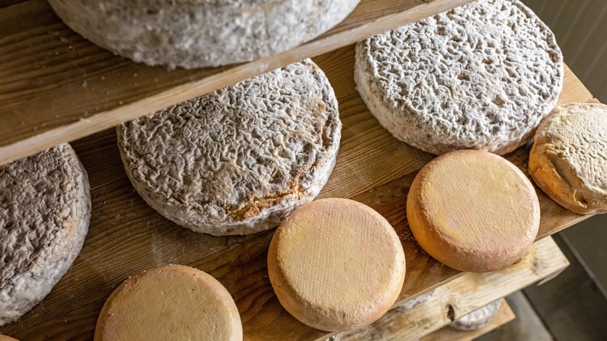 Ova jedinstvena kampanja ima za cilj ojačati posezonu u Hrvatskoj