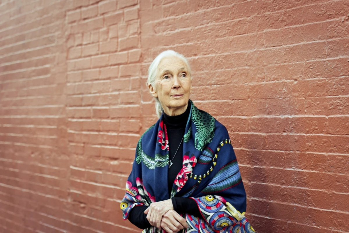 Zašto je Jane Goodall bila toliko važna za cijeli svijet?