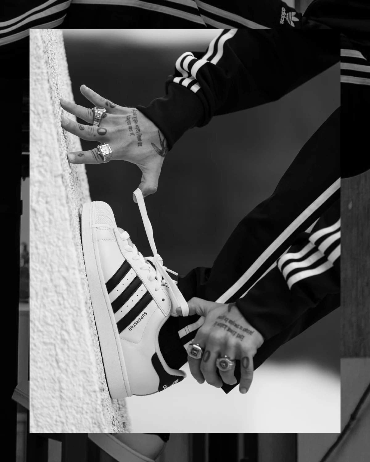 Superstar Showdown: Dva fotografa, jedna IKONA