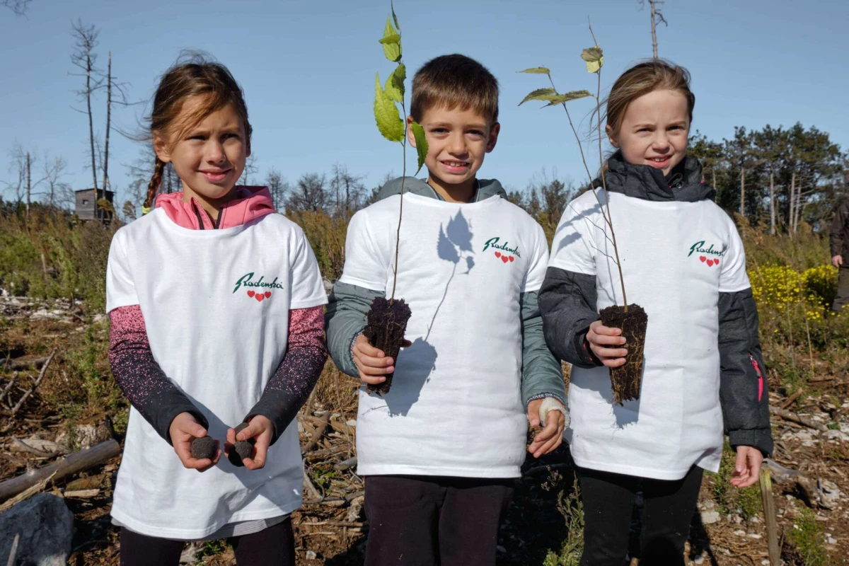 Zajedno za zeleniju budućnost: Nove akcije pošumljavanja u Dalmaciji