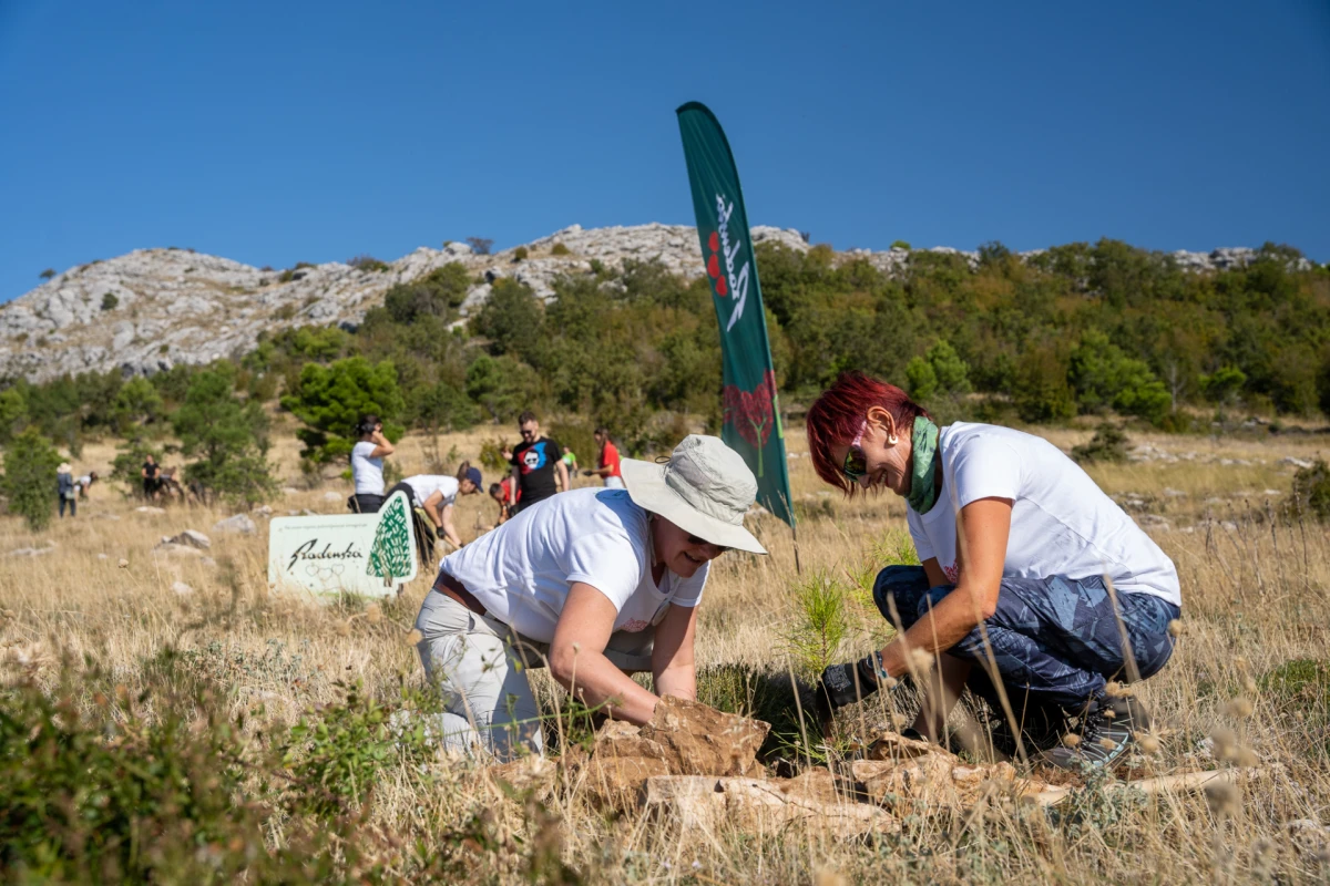 Zajedno za zeleniju budućnost: Nove akcije pošumljavanja u Dalmaciji