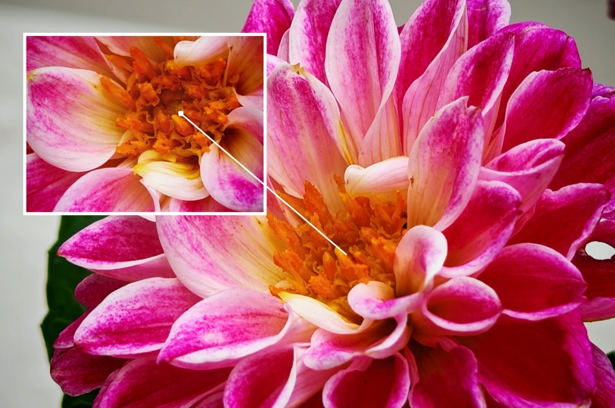 SMART MOVE: Kako iz džepa izvući maksimum dana?