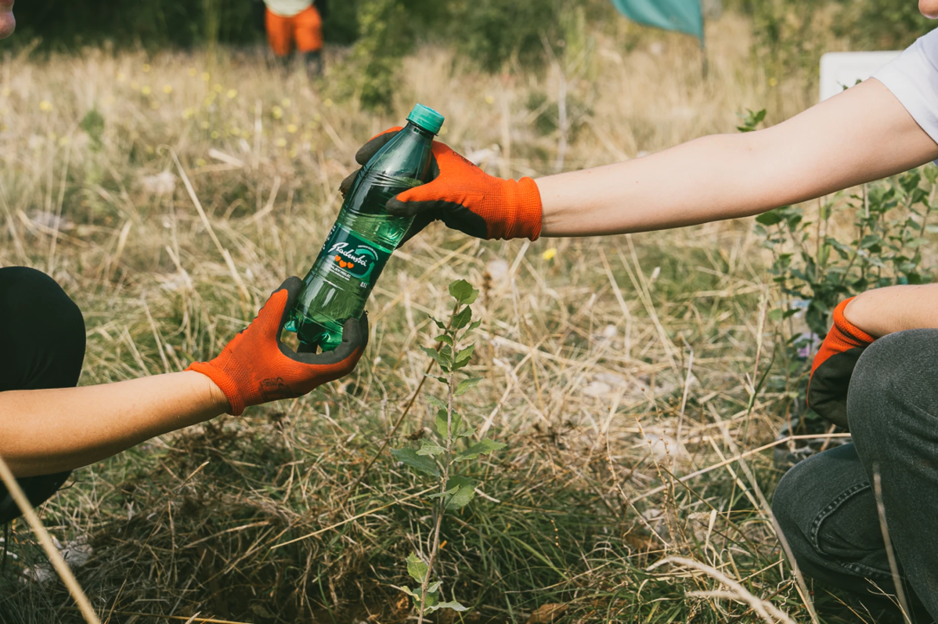 Radenska Adriatic podržala najveću europsku volontersku akciju pošumljavanja.