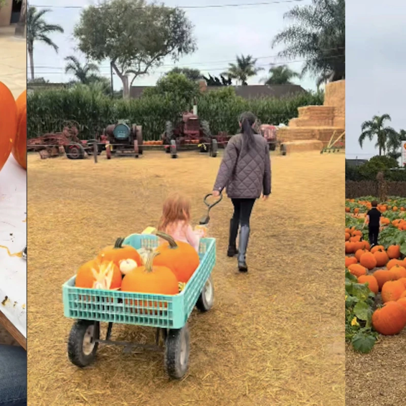 Meghan Markle provela dan u polju bundeva s princem Harryjem, Archiejem i Lilibet