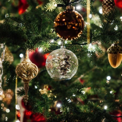 Znamo koji božićni trendovi ukrašavanja bora dominiraju ove godine