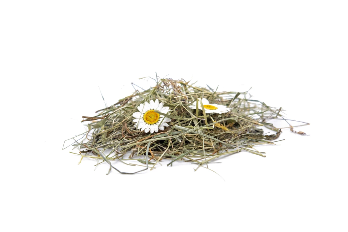 Dizajn koji budi sva vaša osjetila: Organoidi su sve češći odabir dizajnera interijera, a znamo i zašto