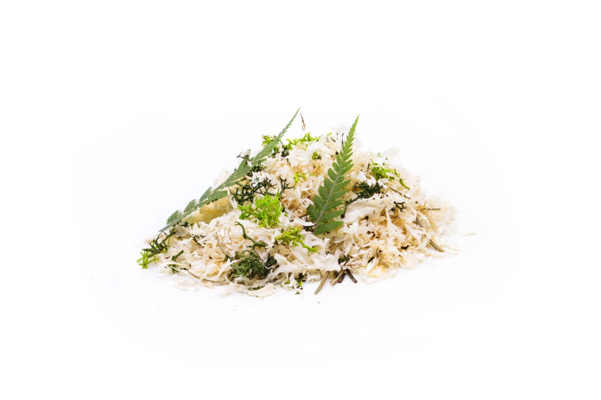 Dizajn koji budi sva vaša osjetila: Organoidi su sve češći odabir dizajnera interijera, a znamo i zašto