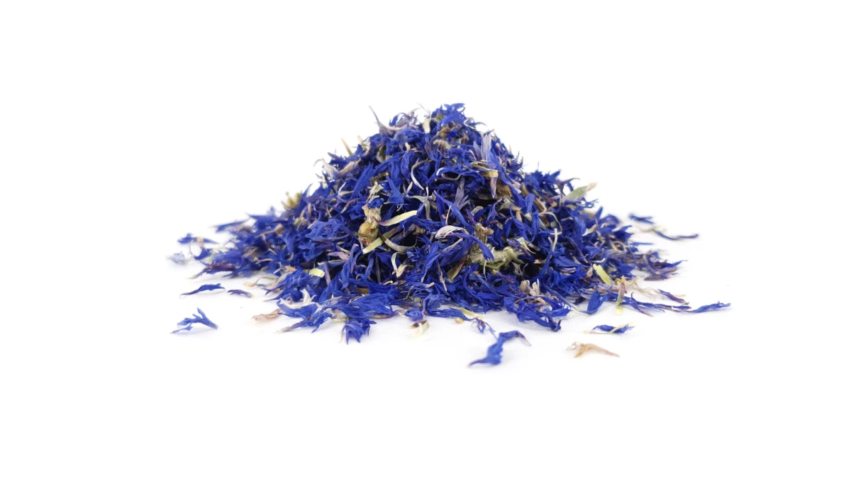 Dizajn koji budi sva vaša osjetila: Organoidi su sve češći odabir dizajnera interijera, a znamo i zašto