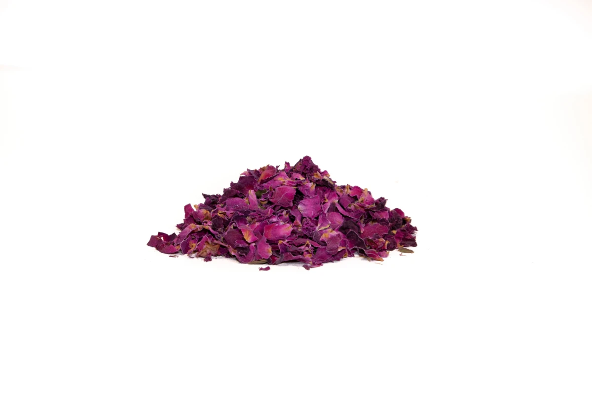 Dizajn koji budi sva vaša osjetila: Organoidi su sve češći odabir dizajnera interijera, a znamo i zašto