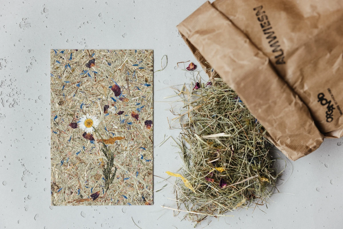 Dizajn koji budi sva vaša osjetila: Organoidi su sve češći odabir dizajnera interijera, a znamo i zašto