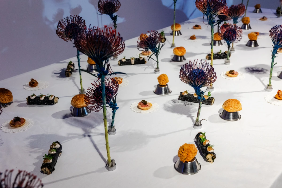 TFIT, K beauty brend koji obožavamo, je stigao u Hrvatsku!