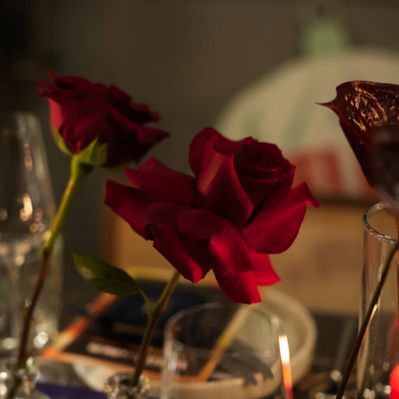 Čarobna blagdanska večera u Zagrebu okupila brojne poznate