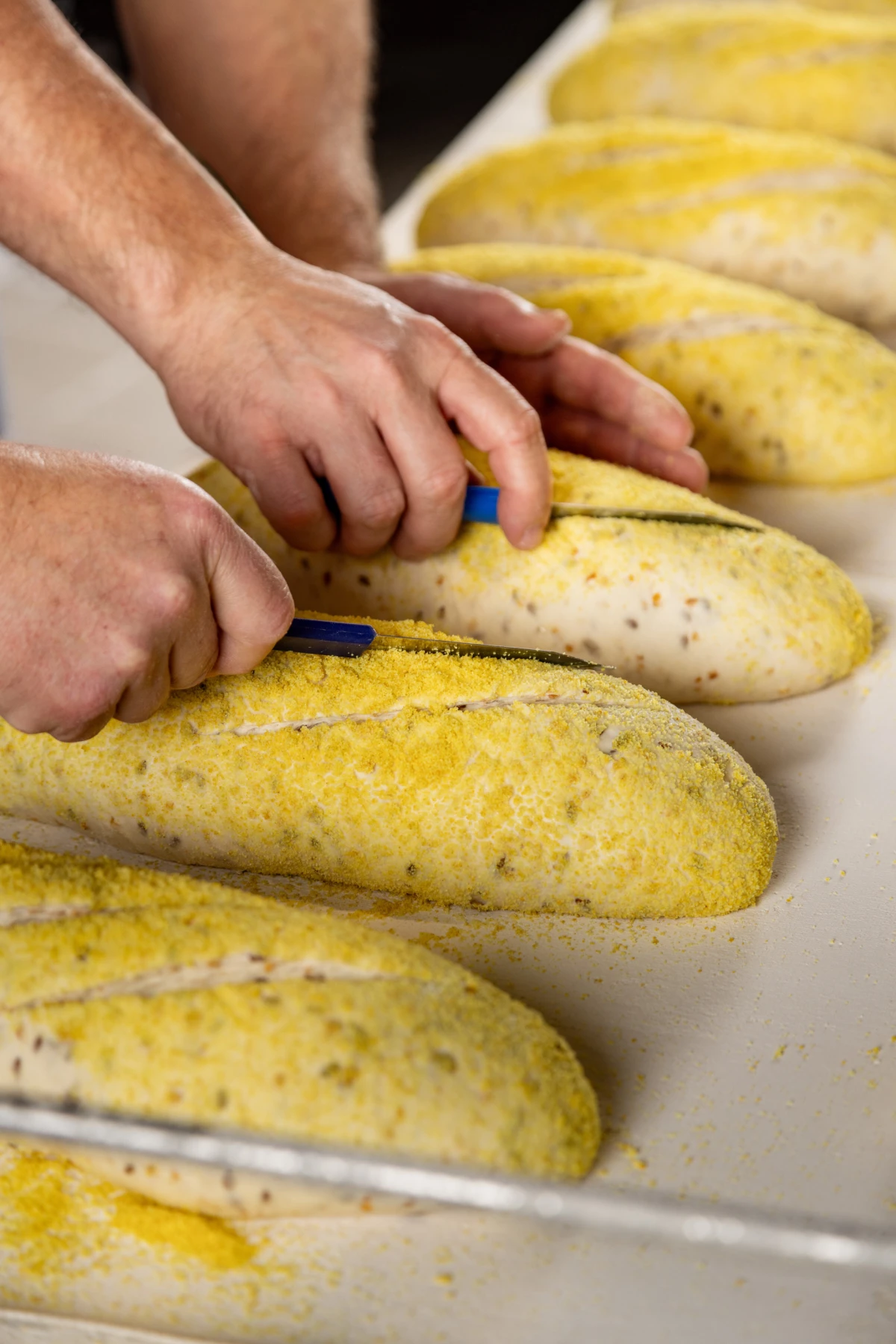 Pan-pek otkriva realnost domaće proizvodnje – što stoji iza kruha koji jedemo svaki dan