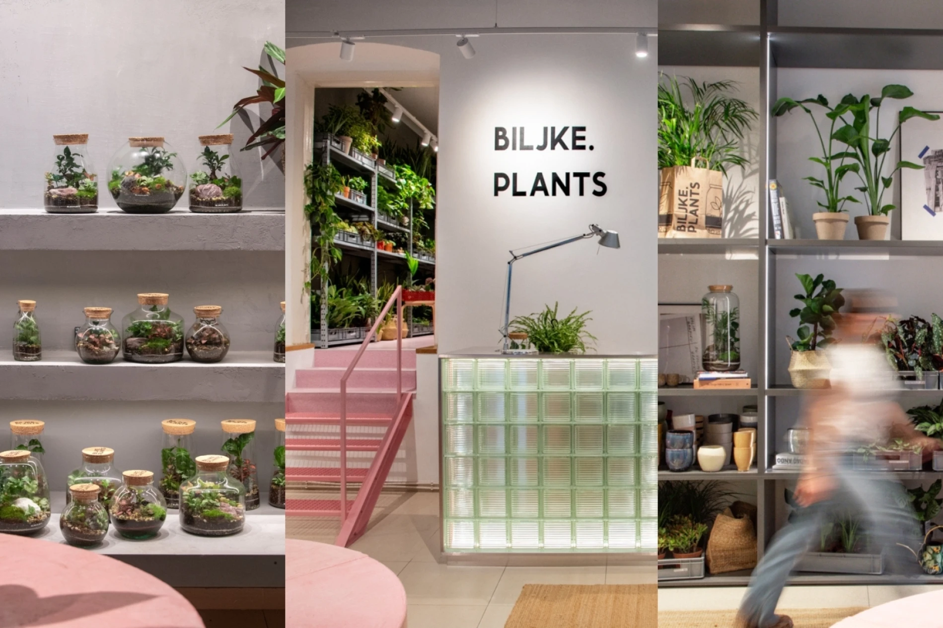 Biljke.Plants otvorio svoj novi zeleni concept store s potpisom dizajnerskog studija 9HZ