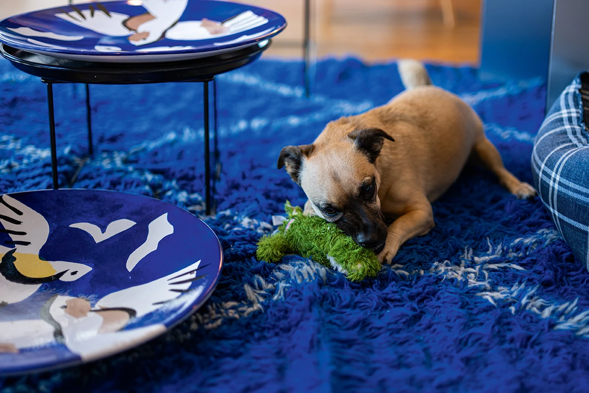 Bo&scaron;ka Bahtijarević za Elle: Ovih blagdana usudite se dekorirati odvažnije