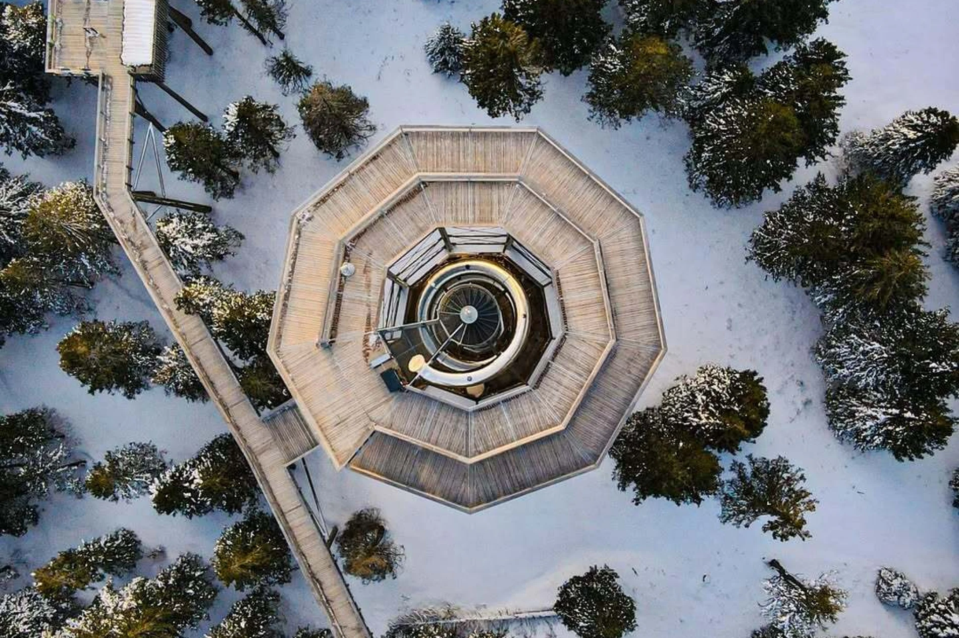 Zimski izlet koji će oduševiti sve generacije: Put među krošnjama Pohorja