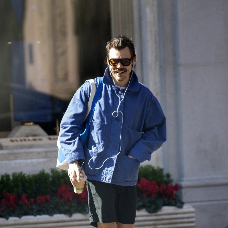 Harry Styles gradi vilu iz snova vrijednu 18 milijuna funti