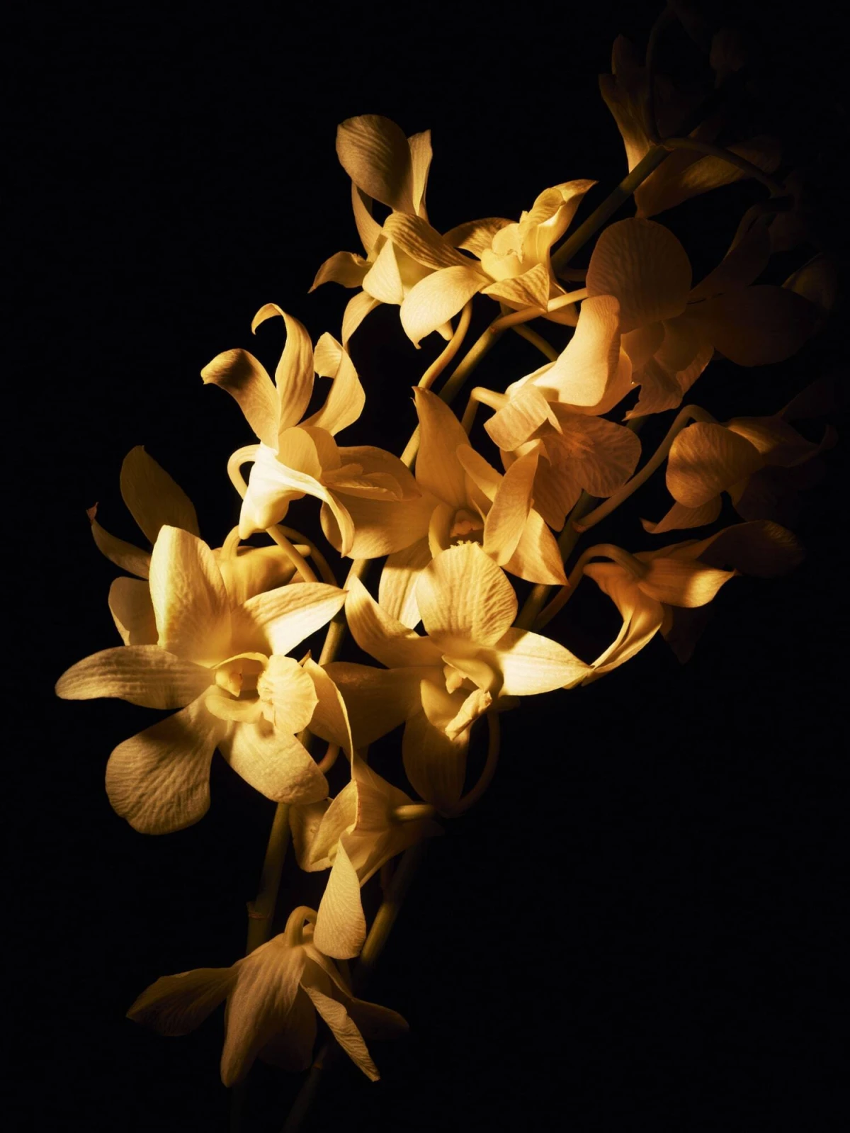 Sublimage Le Baume je vrhunska njega kože s Chanel filozofijom