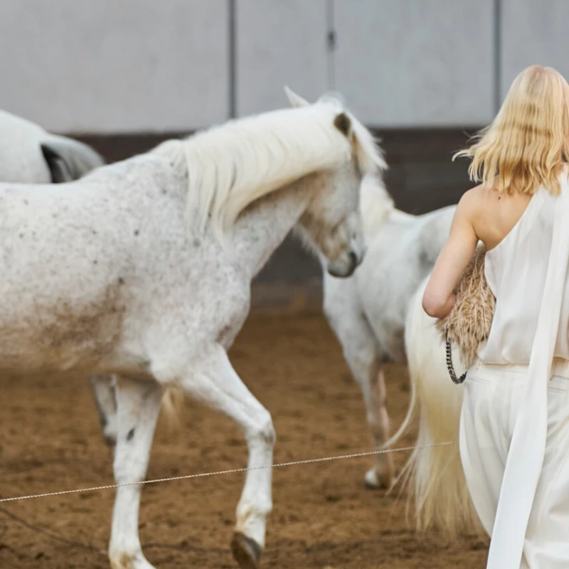 Godina Konja: &Scaron;to donosi i kako iskoristiti njenu energiju?