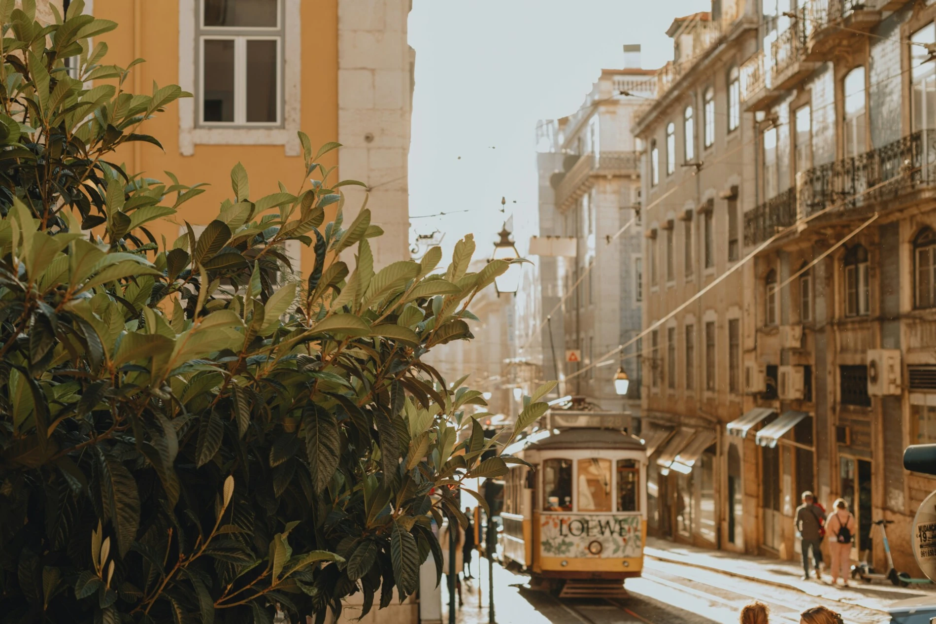 Top 5 idealnih city break destinacija za ožujak