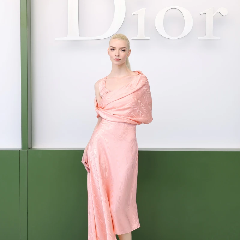Best dressed: Zvijezde u prvom redu nove Dior revije