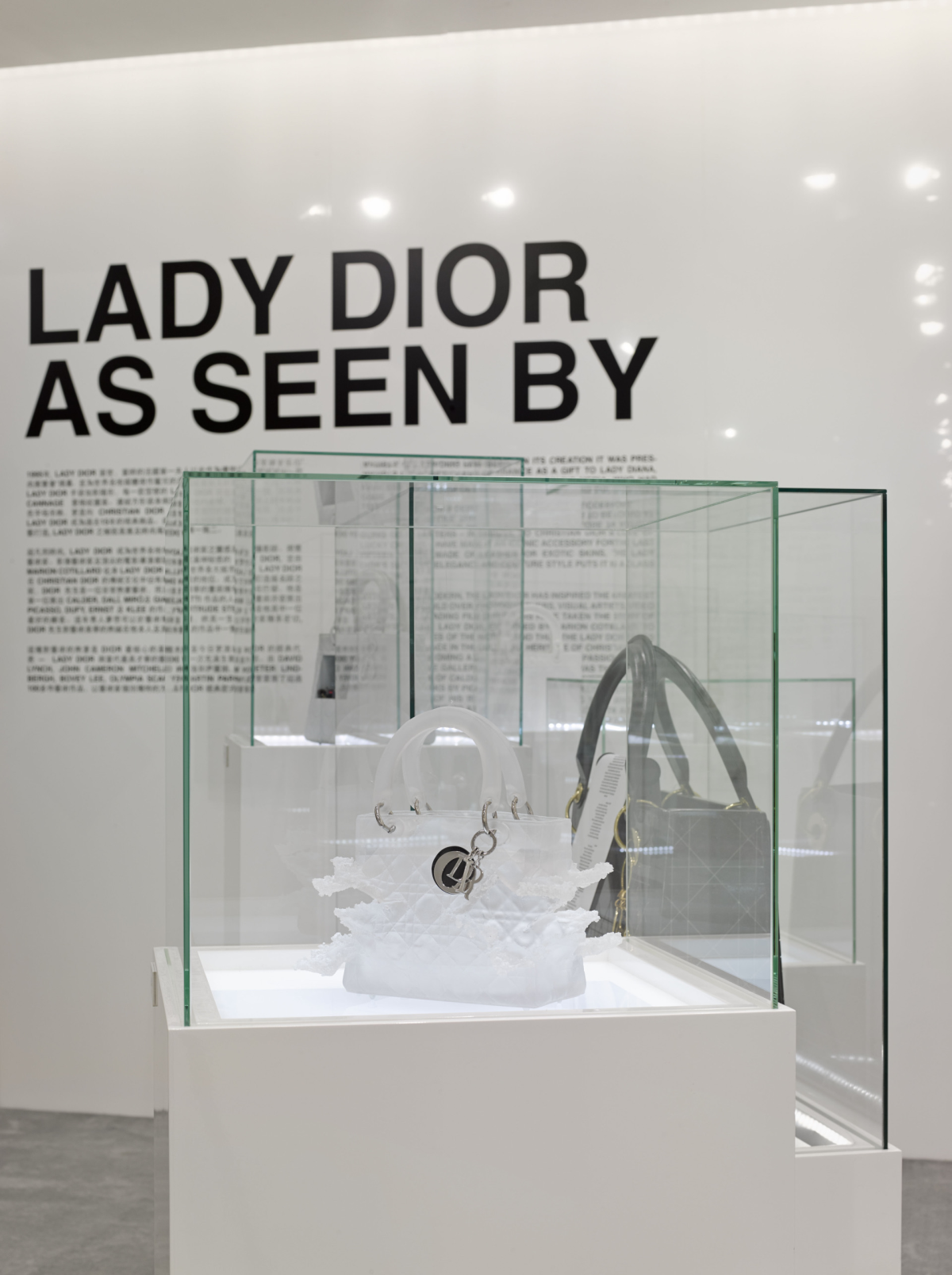 Lady Dior as seen by