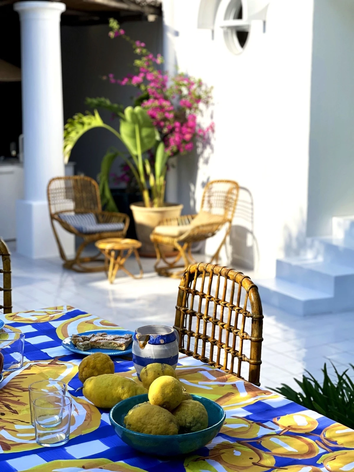 merla x saša šekoranja dolce vita