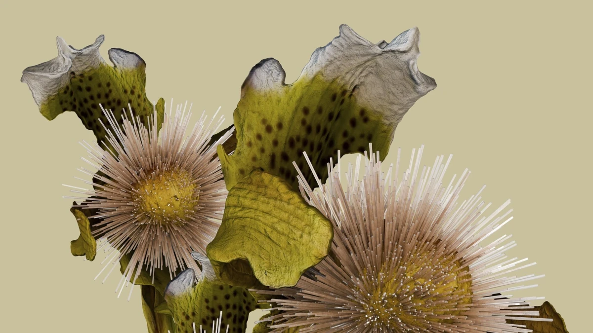 Saint Laurent ovog ljeta ima top izložbu u Parizu